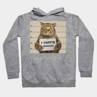 Cat Funny I Hate Humans #2 Hoodie